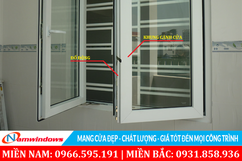 Vị trí của đố động