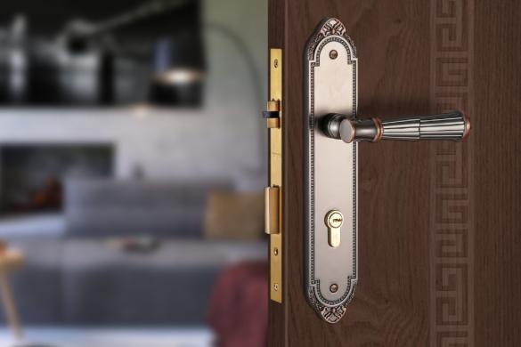 Khóa cửa HK kẽm VICKINI 35103.102 GYM-AC dài 275 - Ảnh 2