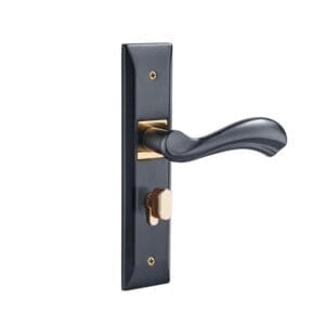 Khóa cửa VICKINI 32016.001 ORB/GP dài 230