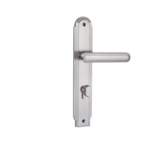 Khóa cửa HK kẽm VICKINI 35573.101 MSN dài 280