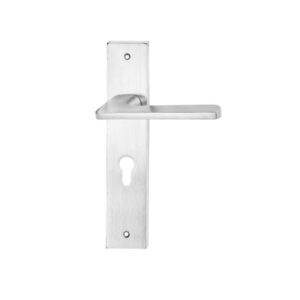 Tay nắm khóa inox 304 Hafele 901.79.063 250mm