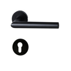 Tay nắm khóa phân thể inox 304 Hafele 903.78.162