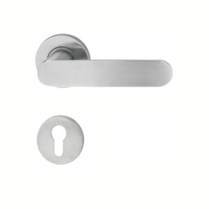 Tay nắm khóa phân thể inox 316 Hafele 903.98.162