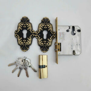 Khóa âm sàn cửa gỗ KS006 vàng đen
