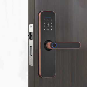 Khóa vân tay cửa phòng ngủ KVT018