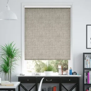 Rèm cửa sổ cuốn hiện đại cho không gian văn phòng, chống nắng